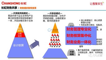 長虹財務共享服務中心 信息化建設的創新與實踐之路